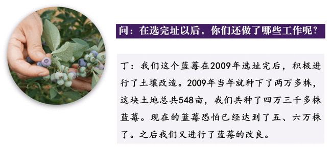 致富经最新一期，探索成功的财富增长之路