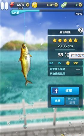 钓鱼发烧友最新版本的鱼与友情温馨日常探索
