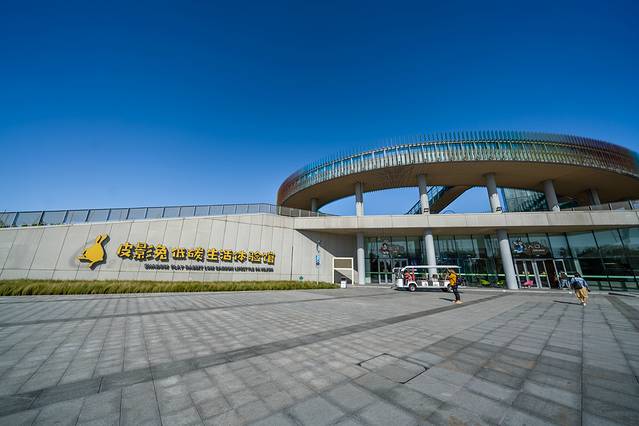 技术与艺术的融合盛宴，最新多媒体之旅