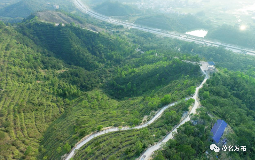 冠县最新动态，自然美景探索之旅，寻觅内心平和与宁静的胜地