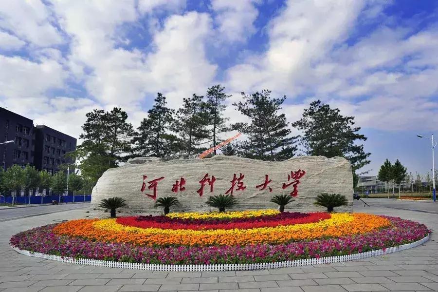 最新人工智能产品引领科技新纪元，开启智能生活新篇章