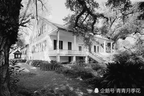 莉娴庄最新论述综述