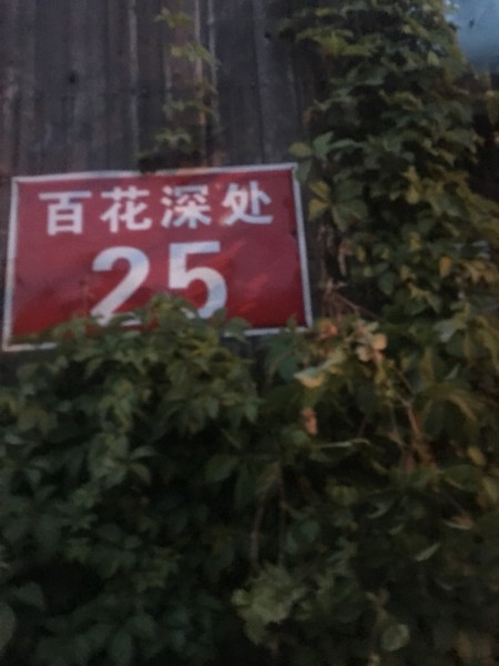 巷弄深处的独特小店，三字最新探索之旅