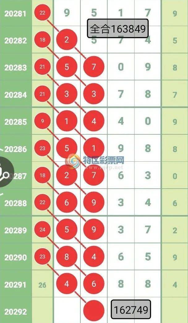 平肖最新公式详解，观点阐述与解析