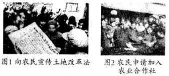 解放一夏，历史背景的回顾与深远影响