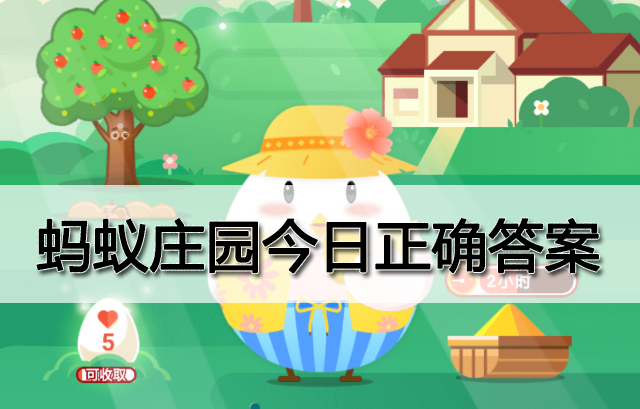 小鸡庄园答案最新揭秘，自然美景探索之旅开启