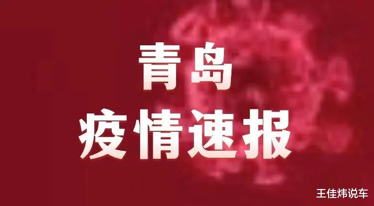 青岛疫情最新报道，观点阐述与解析