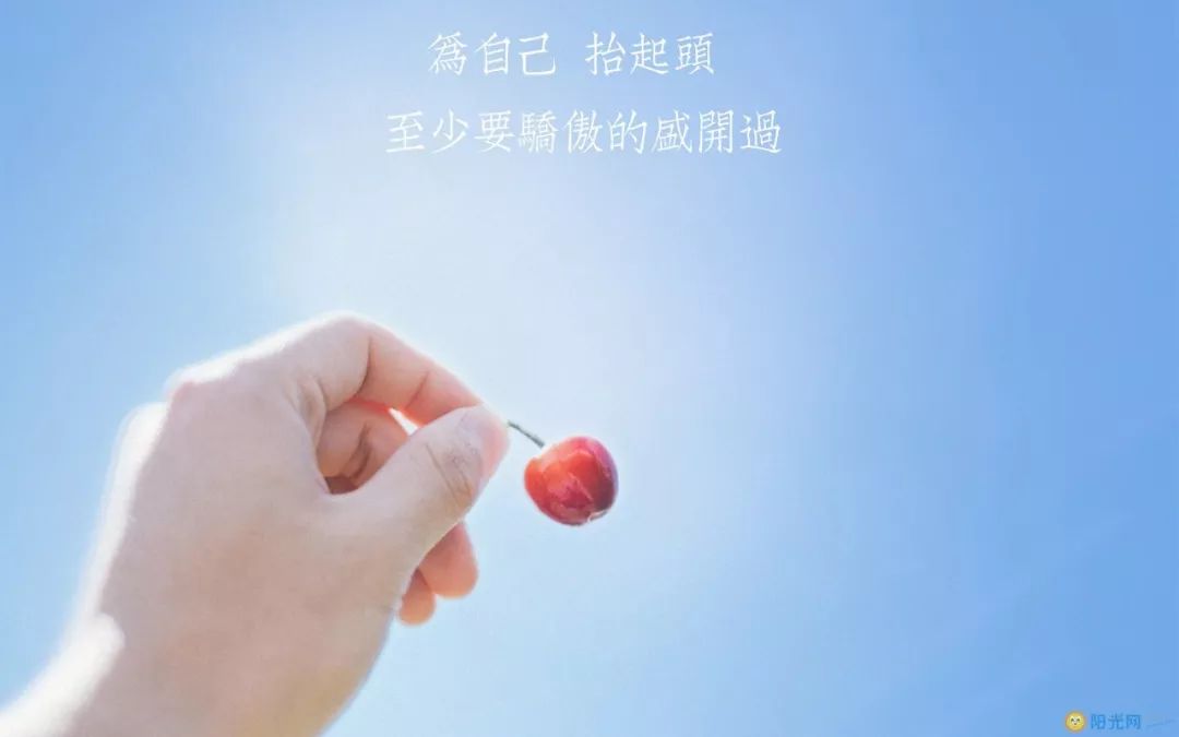 最新正能量语录深度解读与个人立场启示