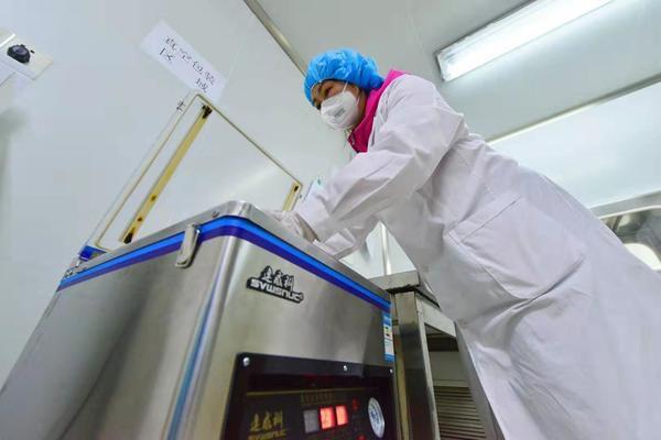 洛阳肺炎最新动态，自然美景探索之旅，寻求内心平和宁静的旅程