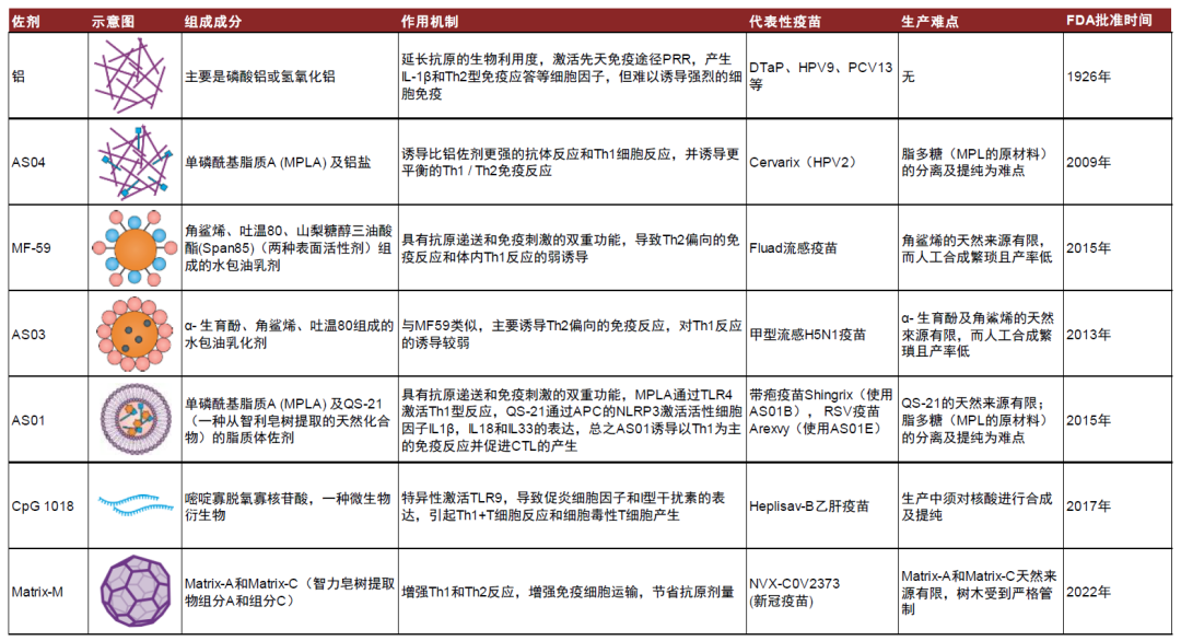 疫苗临床最新进展详解，数据收集与解读任务完成指南