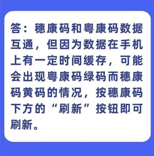 最新粤康码，科技前沿的健康守护者