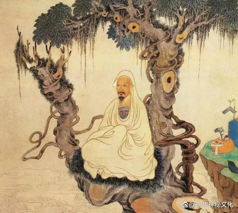 丹道宗师，修行与成长的探索之旅