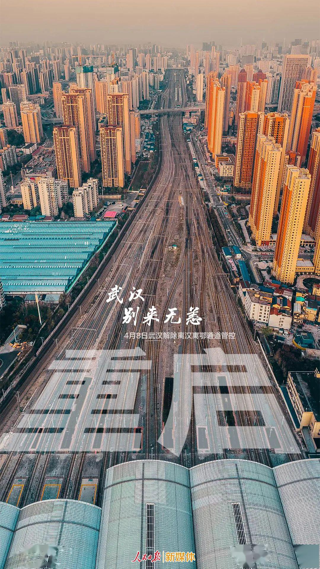 武汉杀人案最新消息与绿色心灵之旅探寻内心平静