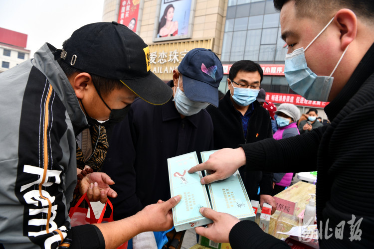 石家庄市最新鱼讯揭秘，探寻水族世界的最新动态