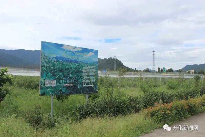 蓟县城区最新招聘信息揭秘，小巷深处的职业机遇