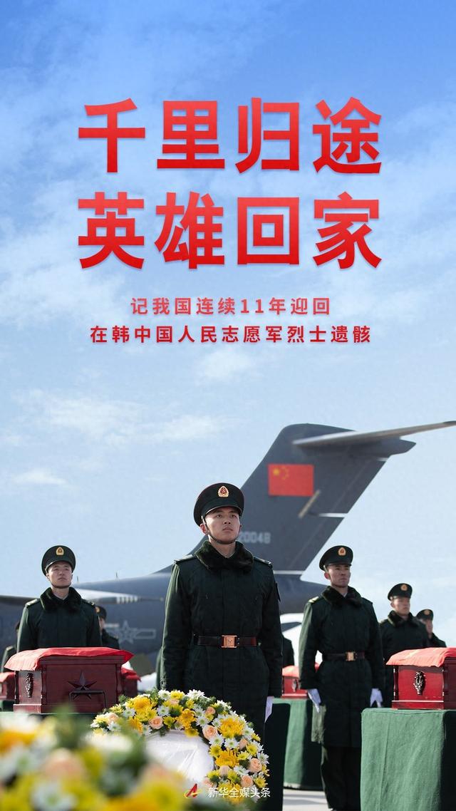 印度老兵回家的最新消息与温馨日常体验
