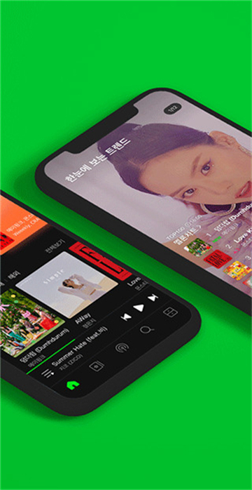 Melon最新安装包下载及安装步骤指南