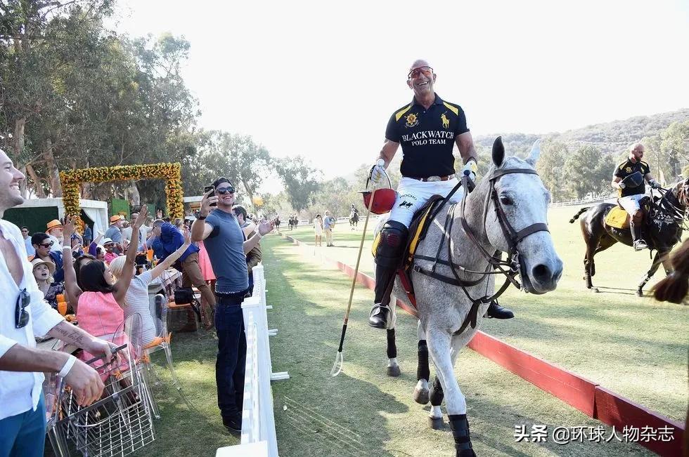 穆勒基金骗局最新动态，深度分析与观点阐述