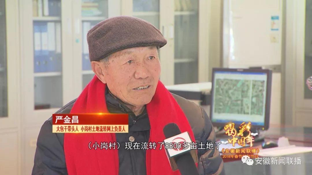 凤阳新闻最新动态速递📢