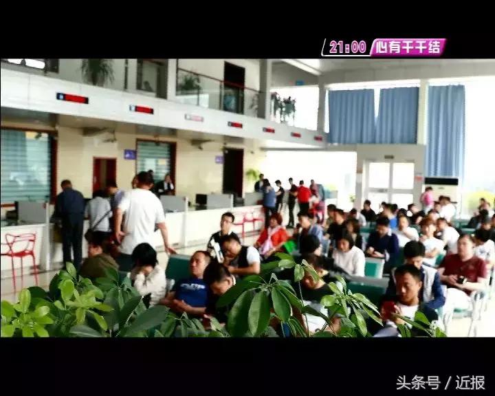 济南车管所最新号段探索与解读