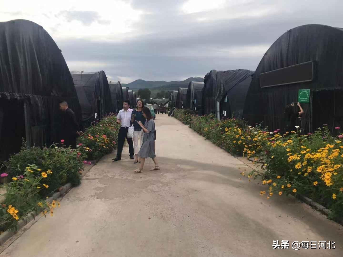 第365页