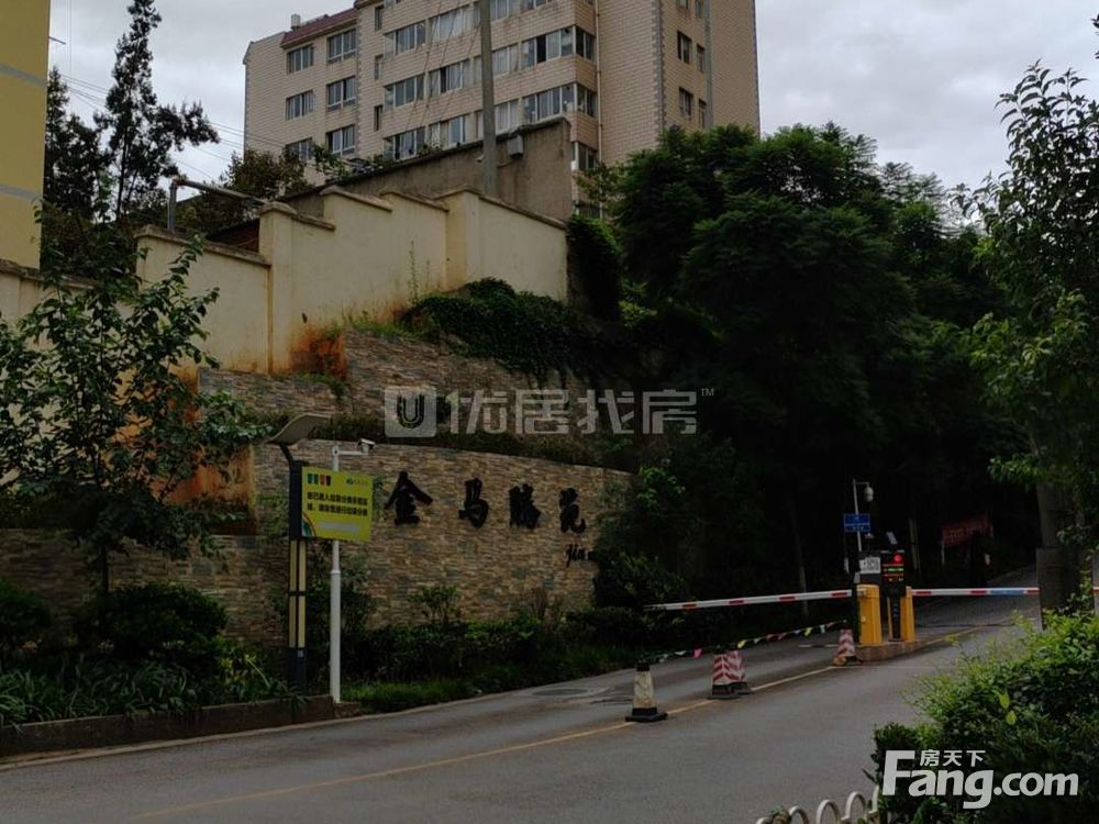 金马腾苑最新动态与全面指南，掌握最新消息，洞悉金马腾苑全貌