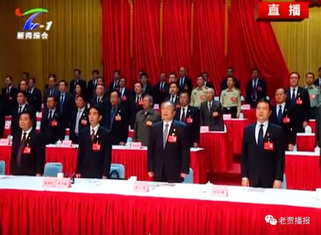 洛阳市副市长名单最新更新