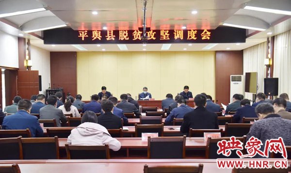 河南平舆县最新新闻热点，日常趣事与真挚友情的交织
