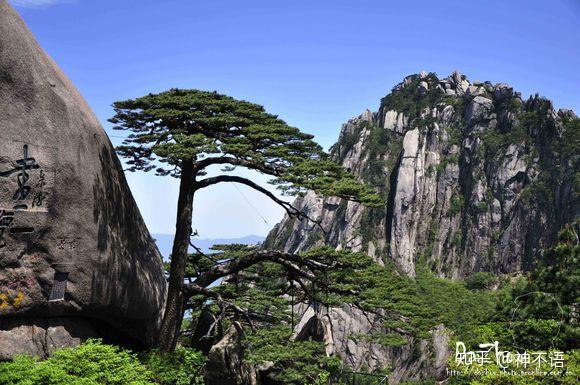 黄山岩寺最新房价动态，风景变化中的自信与成就感