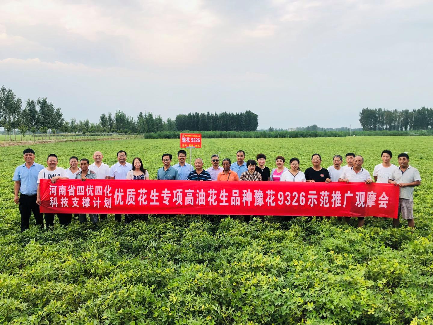 河南花生果最新价格，变化中的市场与学习自信的力量