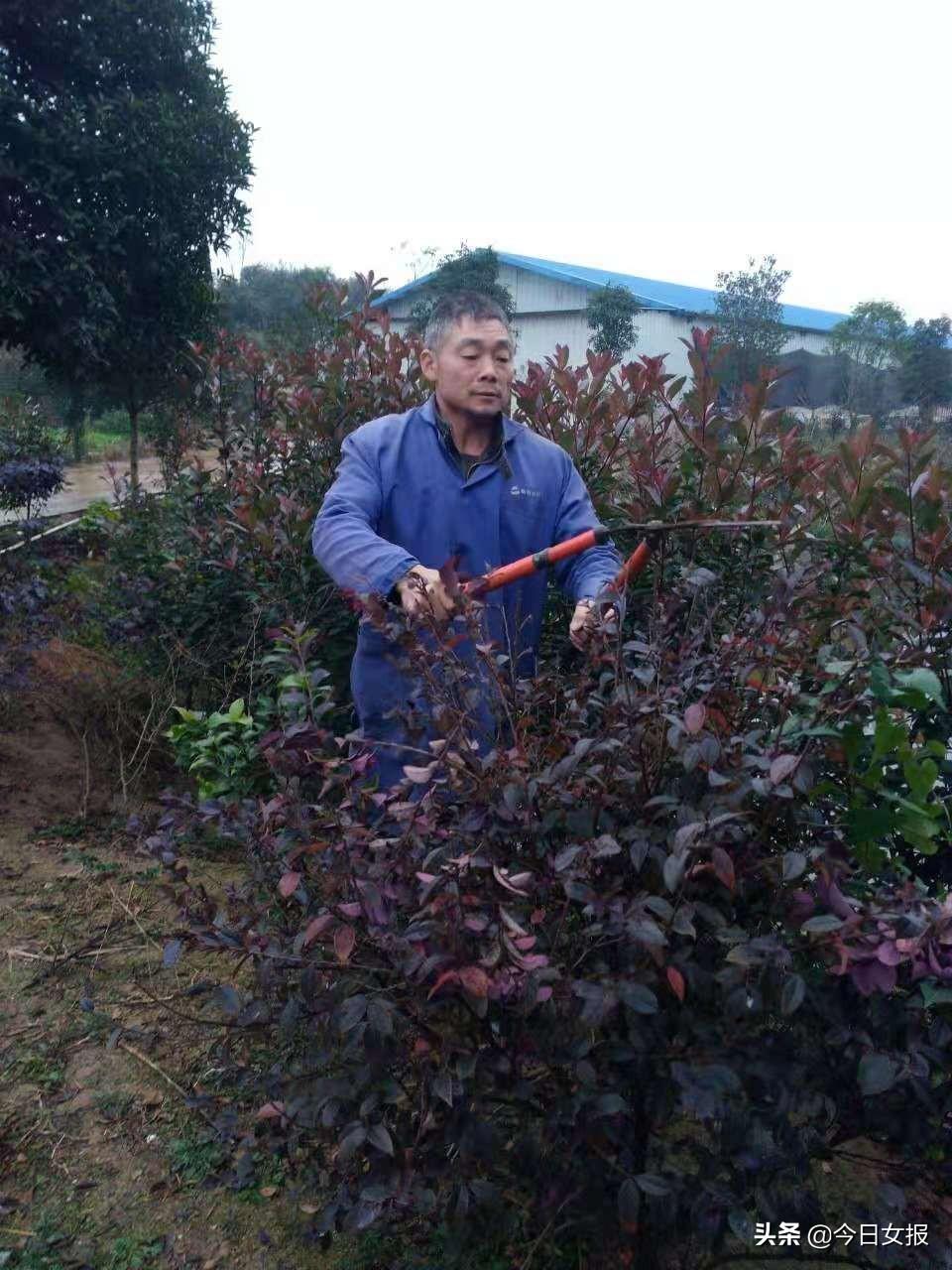 绿化贷最新动态，申请、管理与还款全流程指南