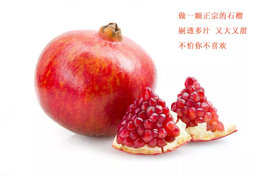 榴榴草社区最新地址探索与科普，揭秘社区新动态