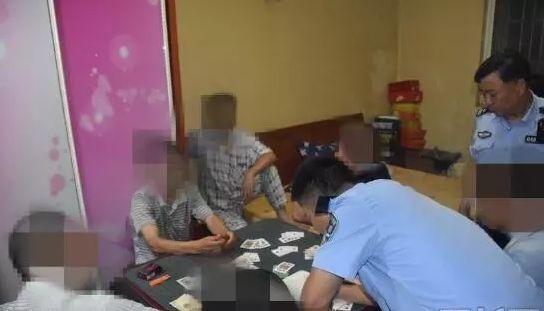 天天干最新观点探讨与深度解析