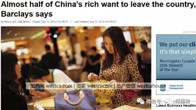 蜜坛现象深度探讨，最新观点与探讨