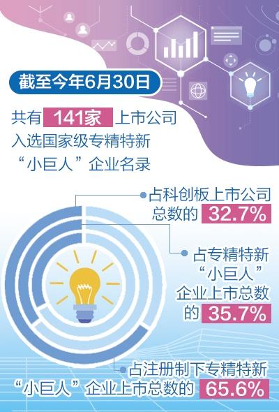 新奥天天开奖资料大全新开奖结果,创新策略执行_愉悦版95.733