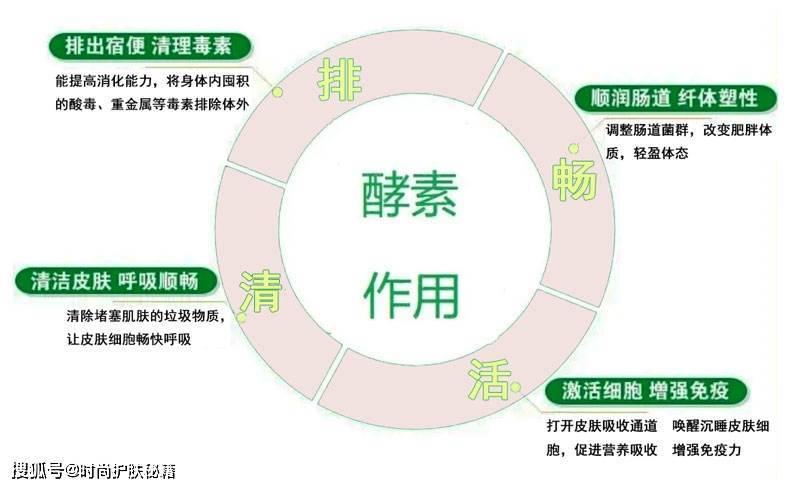 酵素最新技术革新，革新与争议并存