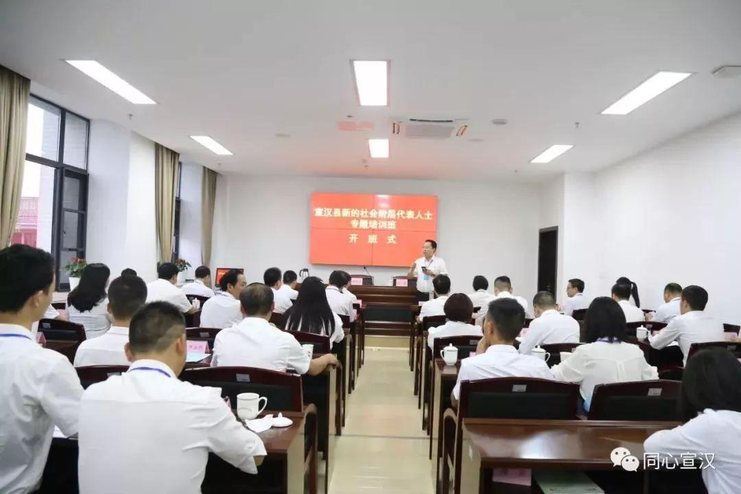 宣汉最新鱼情，友情与陪伴的温馨故事开启新篇章