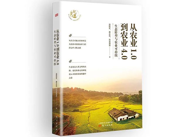 七麒最新小说，学习之旅的奇妙变化与自信成就感的碰撞