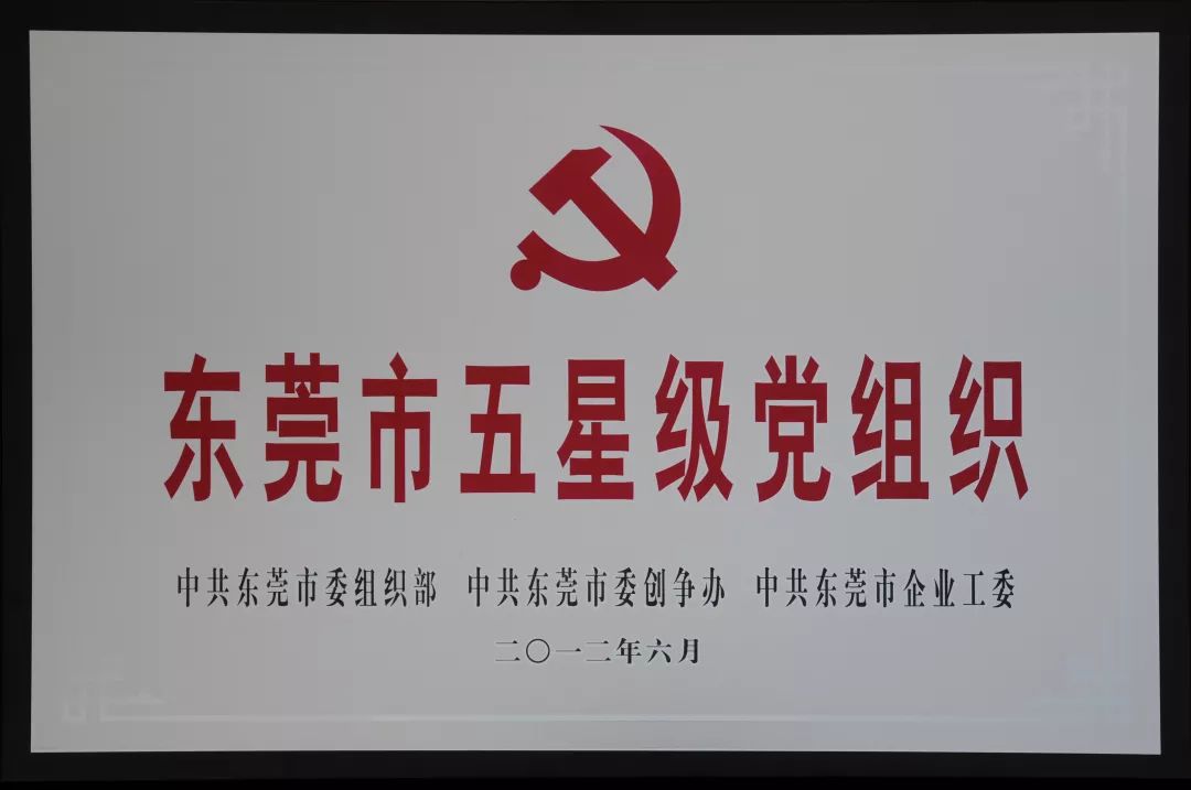 东莞疾情最新动态，城市变迁中的学习与自信成就展