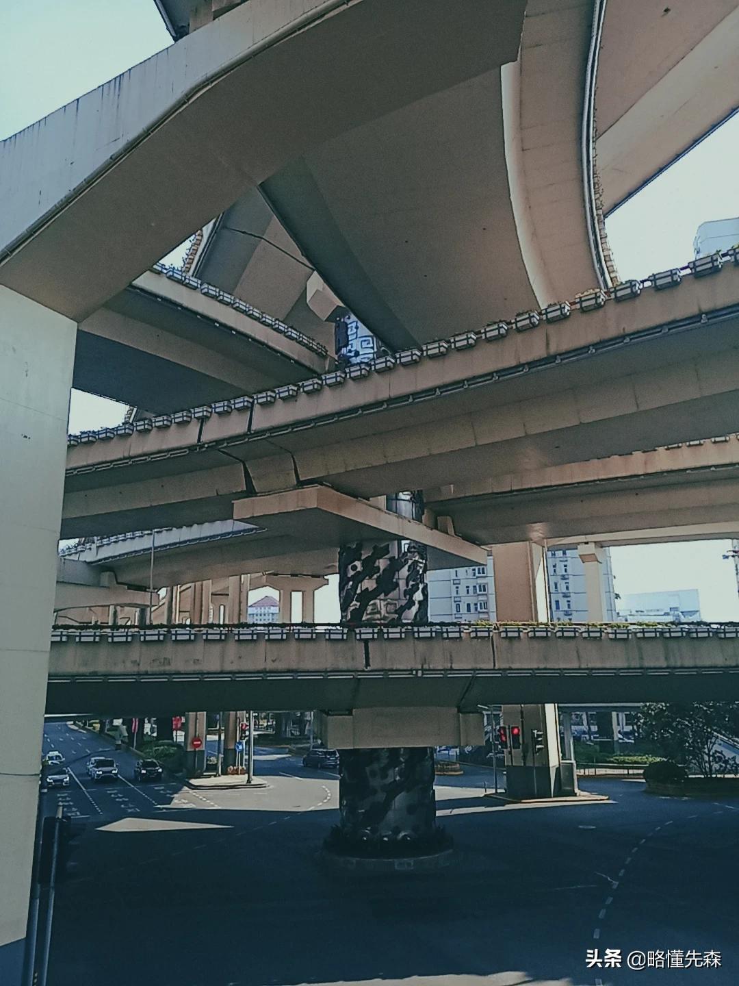 上海高架花卉盛开，绚烂绽放的都市美景！