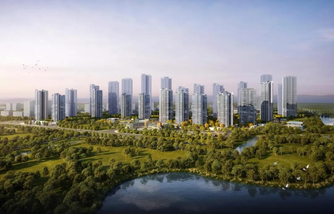 白酒股暴跌最新动态，逆风翻盘，学习变化的力量应对市场冲击
