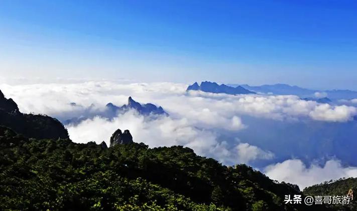 最新手镯玉，与自然美景的浪漫遨游之旅