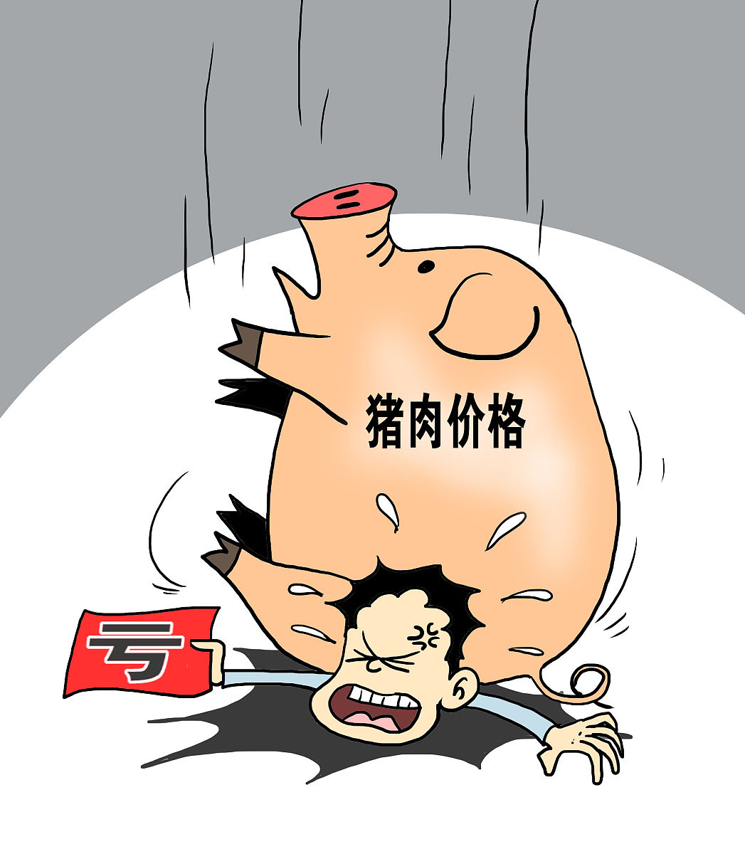 猪价最新更新通知🌟