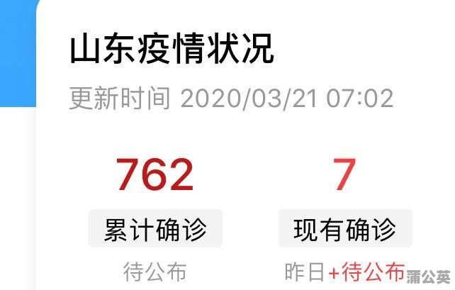 山东最新病例解读与观点阐述，全面公布及分析讨论