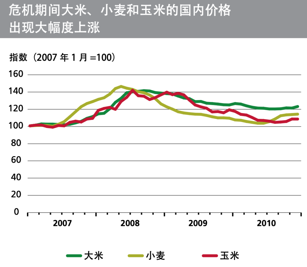 粮食危机实时更新，最新状况全面解析