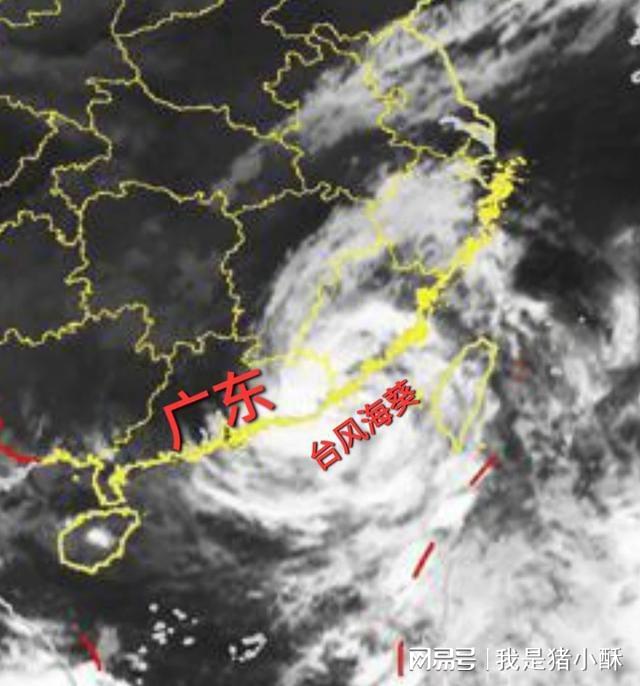 台风最新动态及应对指南，实时跟踪与有效应对措施