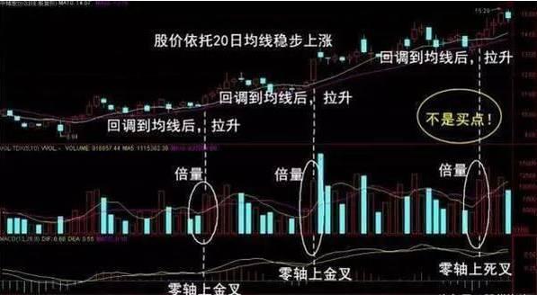 浦东20路最新时刻表，变化中的力量，指引成就之路