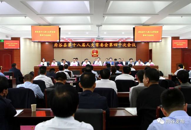 泗水县最新领导班子成员🌟