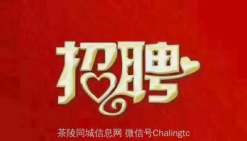 茶陵人才网最新招聘，缘分与友情的交汇点